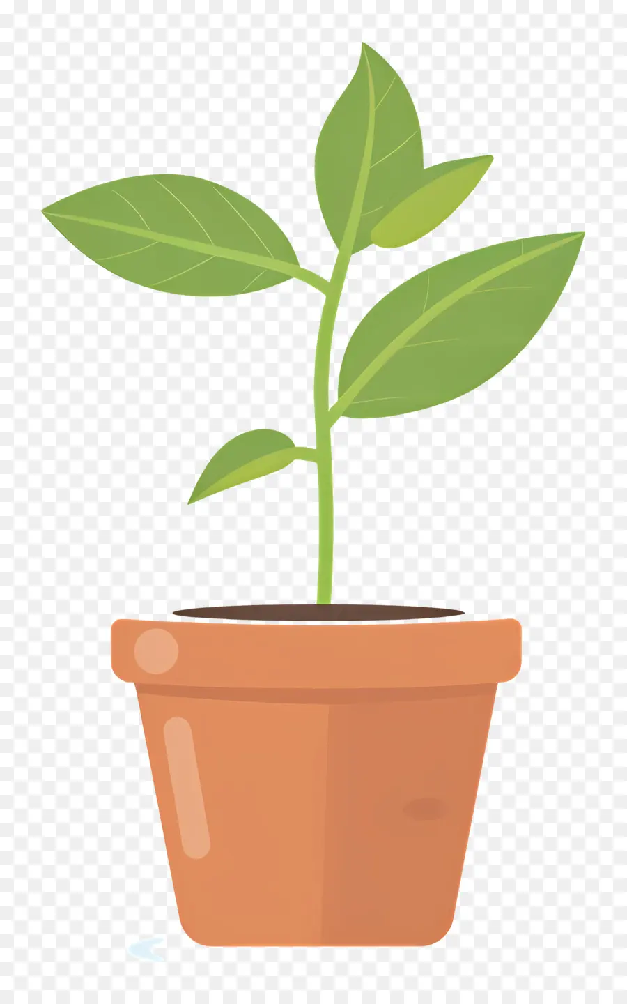 Las Plántulas，Planta PNG