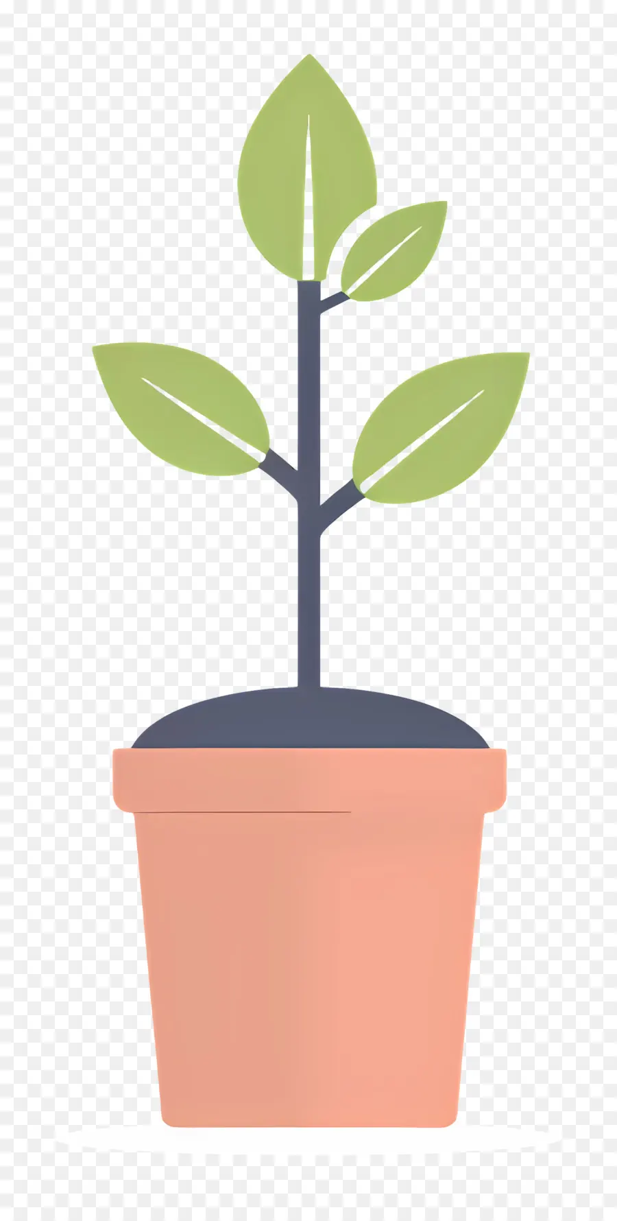 Las Plántulas，Planta En Maceta PNG