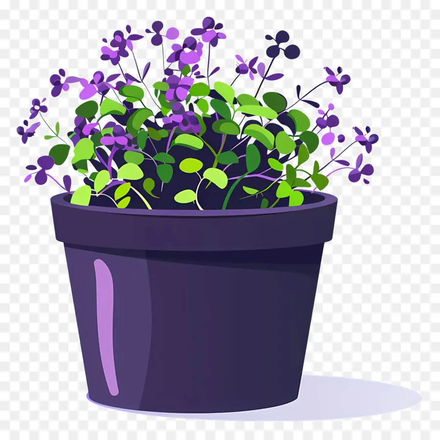 Bote De Microgreens，Flores De Color Púrpura PNG