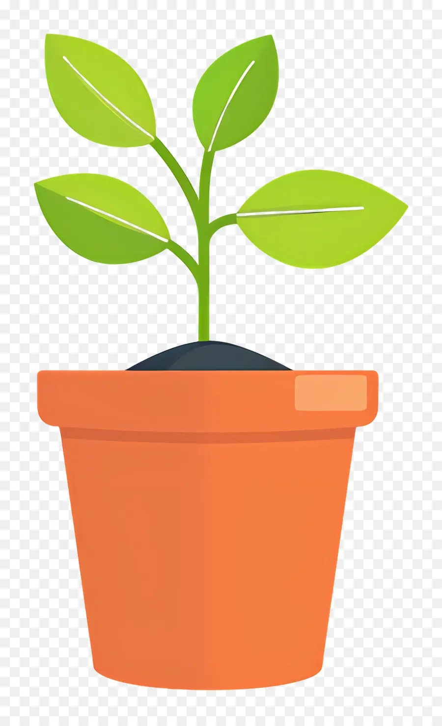 Las Plántulas，Planta De Arcilla PNG