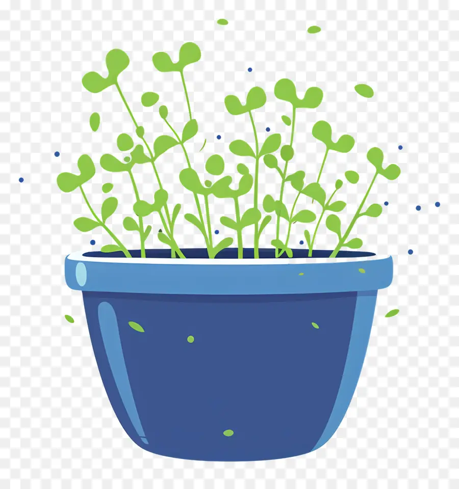 Bote De Microgreens，Maceta Azul PNG