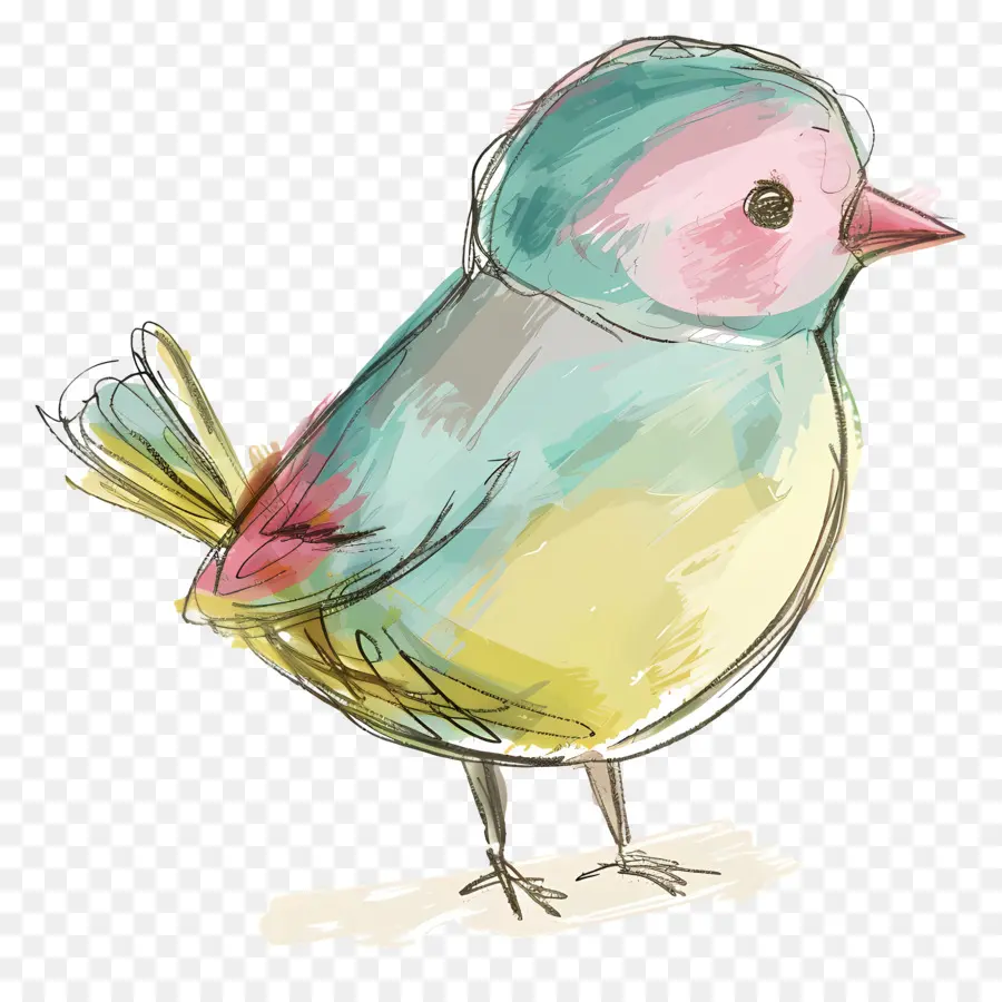 Pájaro，Pájaro Pequeño PNG