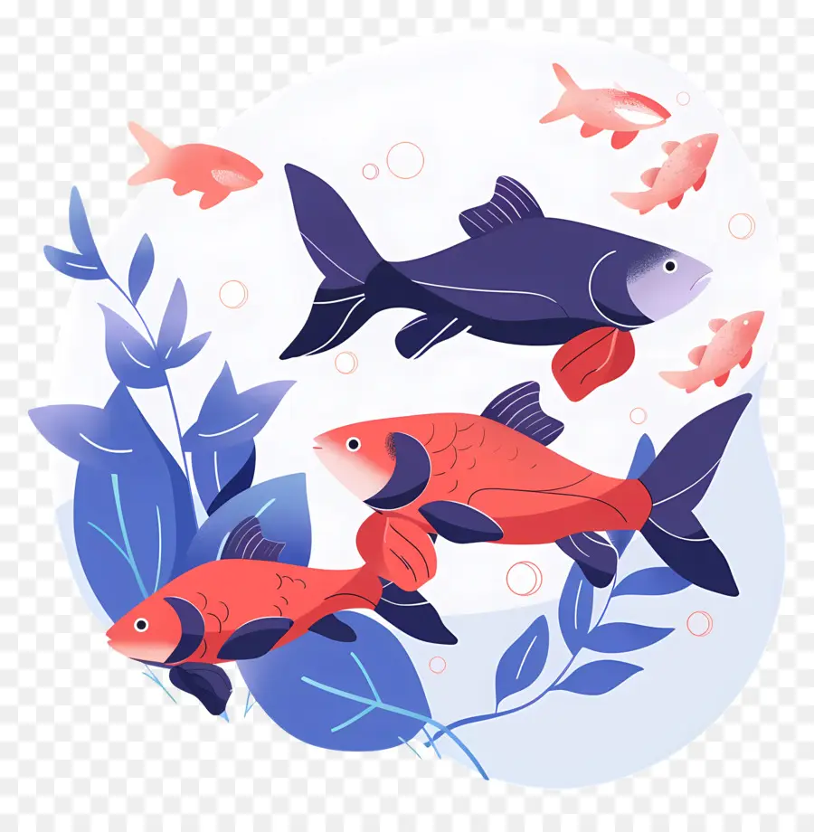 Los Peces，Acuario PNG