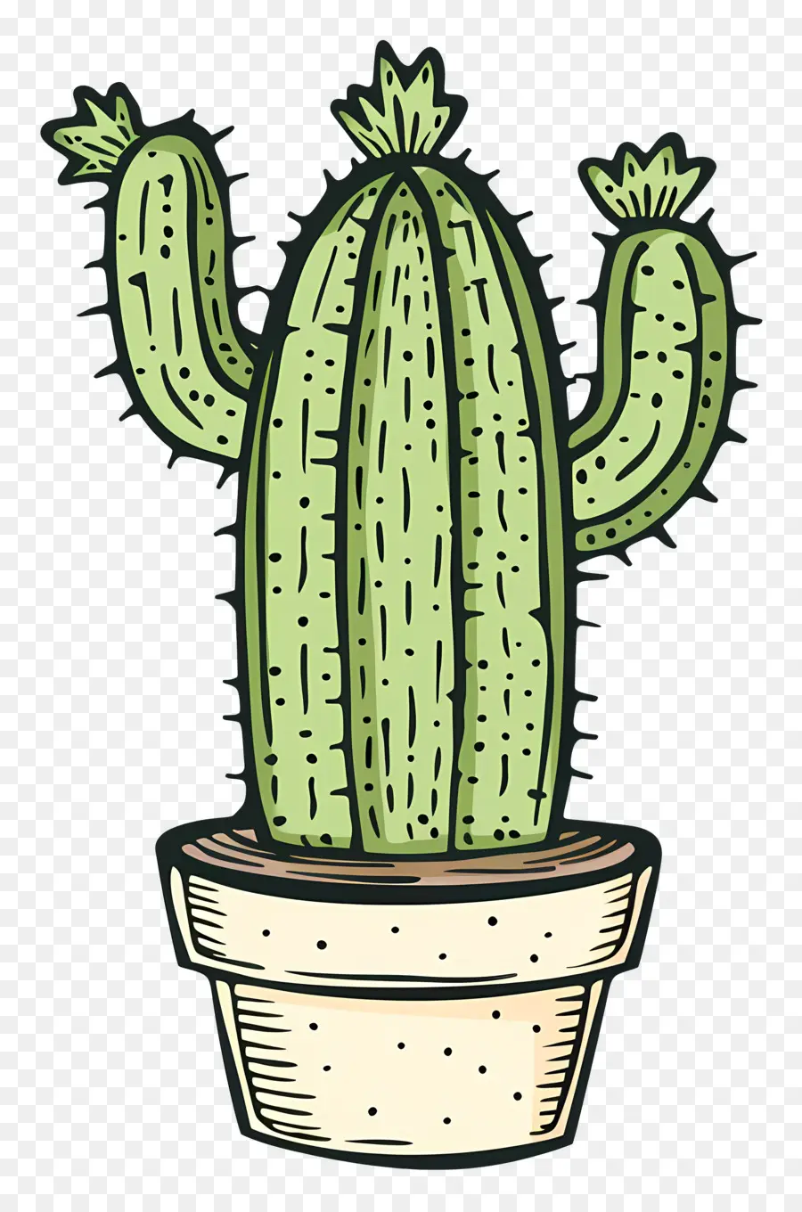 Verde Cactus，Planta De Cactus PNG