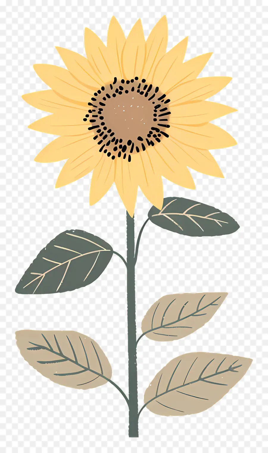 Doodle De Girasol，Girasol PNG