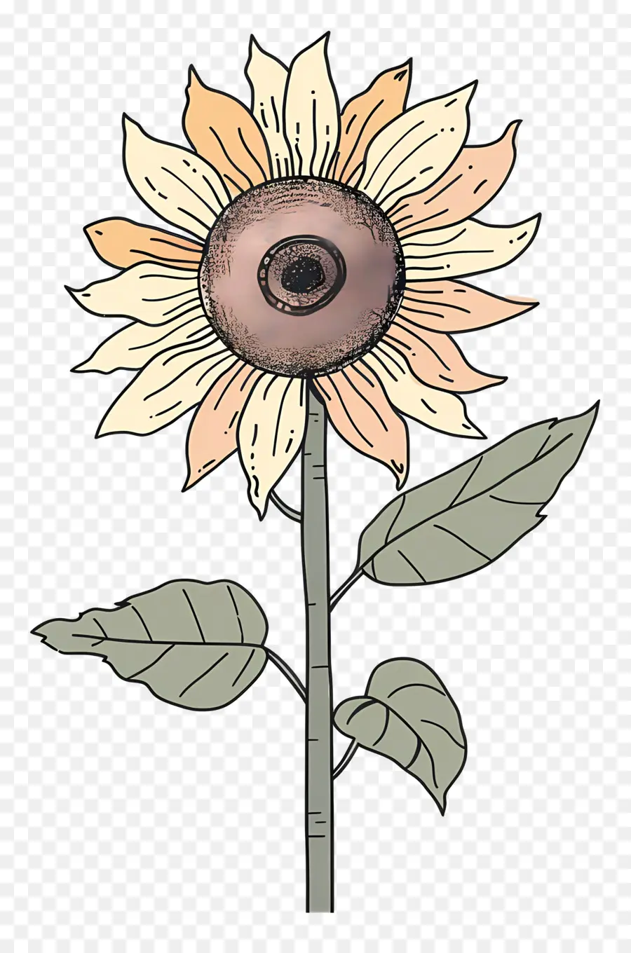 Doodle De Girasol，Girasol PNG