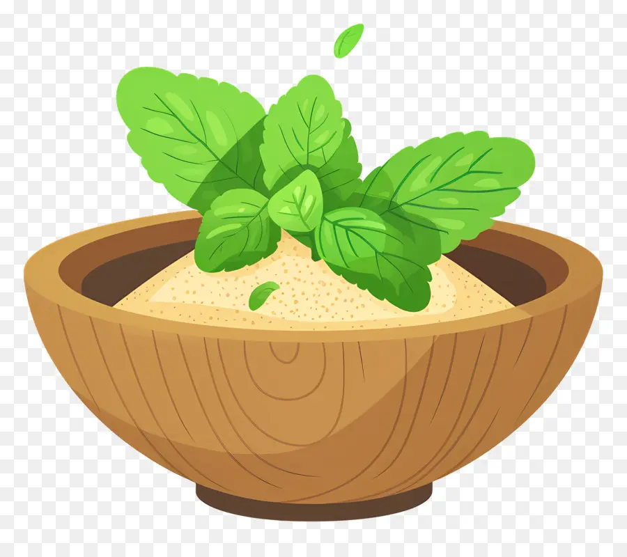 Hojas De Stevia，Polvo PNG