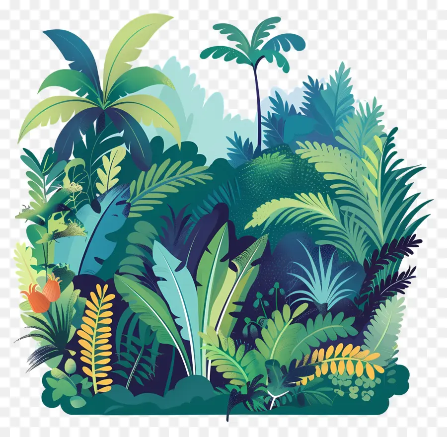 Selva，Plantas Tropicales PNG