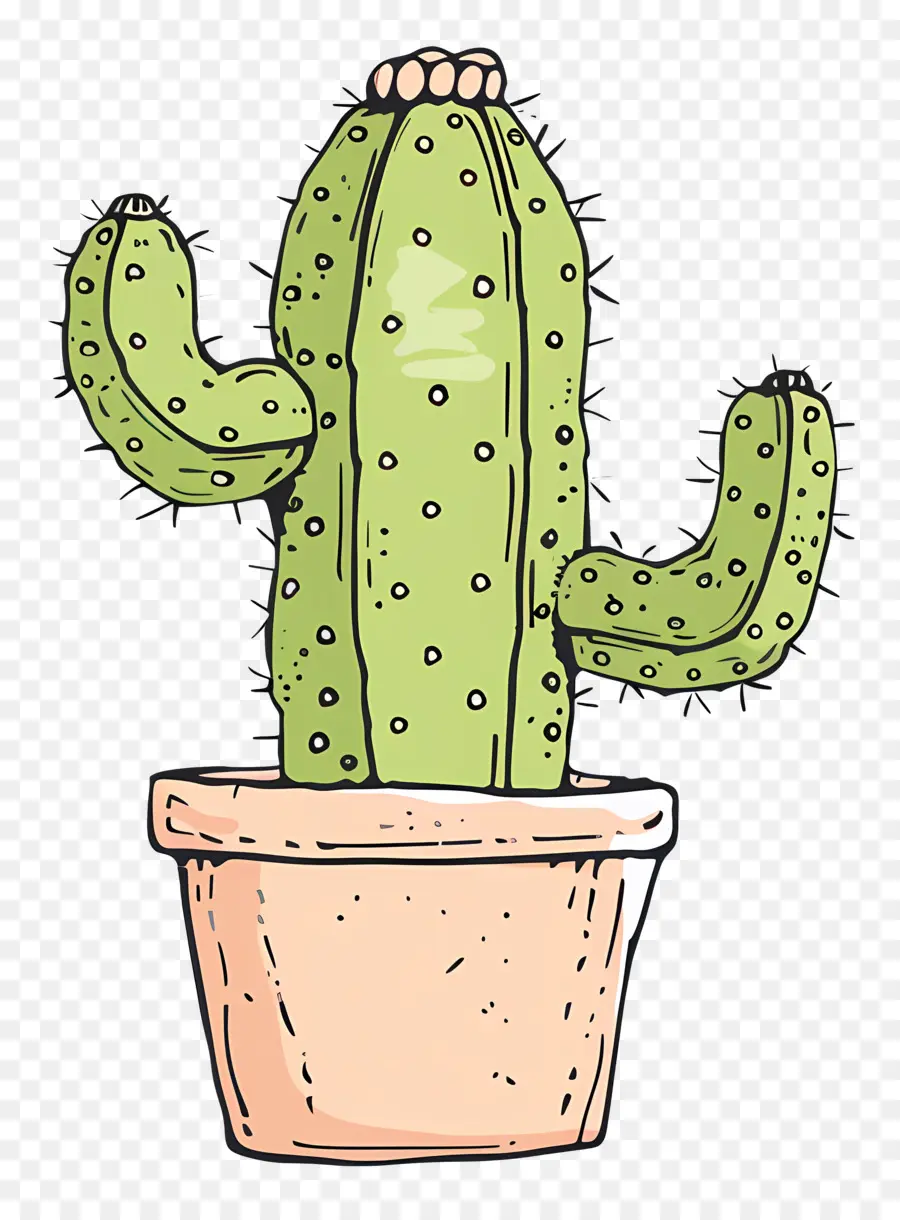 Verde Cactus，Dibujos Animados De Cactus PNG