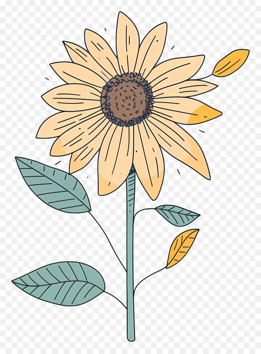 Doodle De Girasol，Girasol PNG