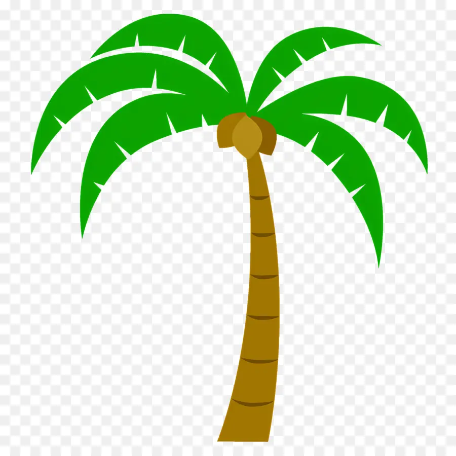 Palmera，Tropical PNG