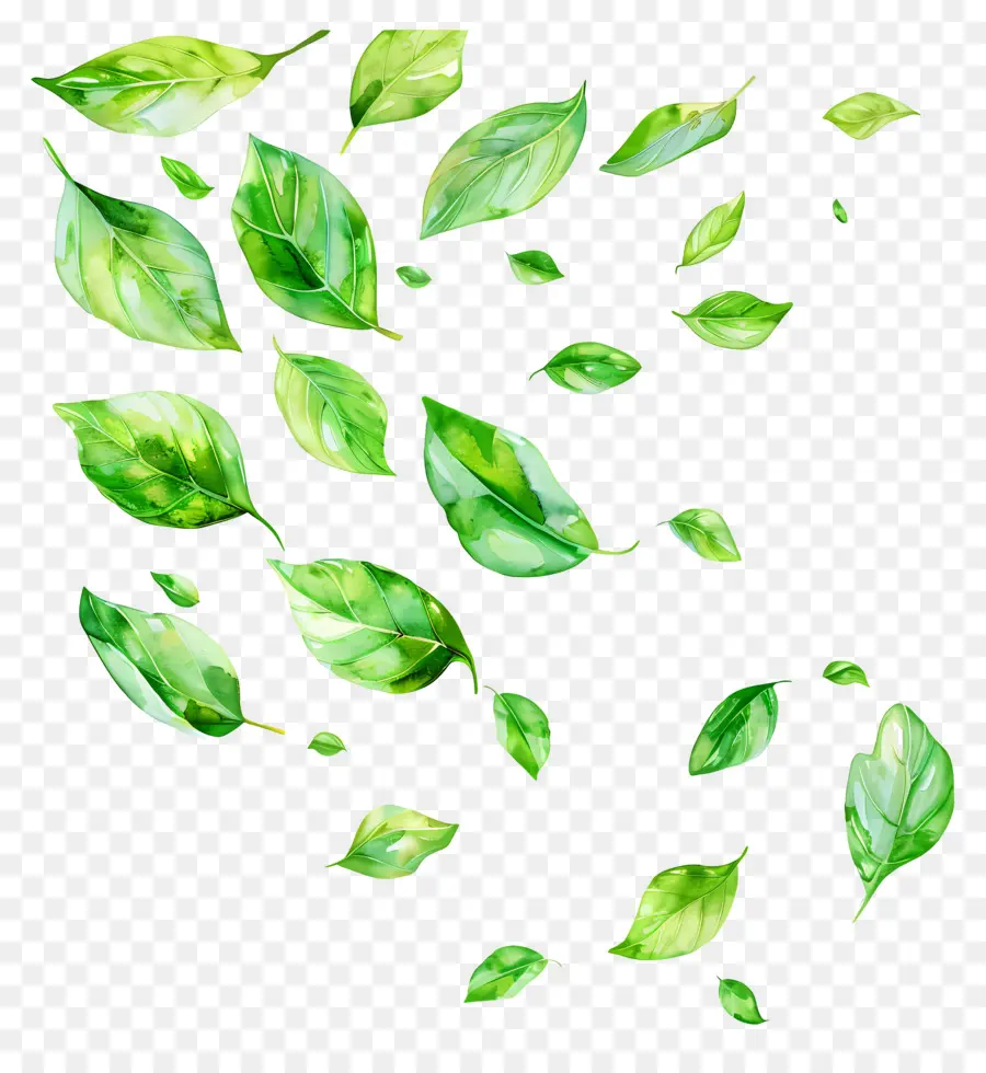 Hojas Verdes，Vuelan Las Hojas PNG