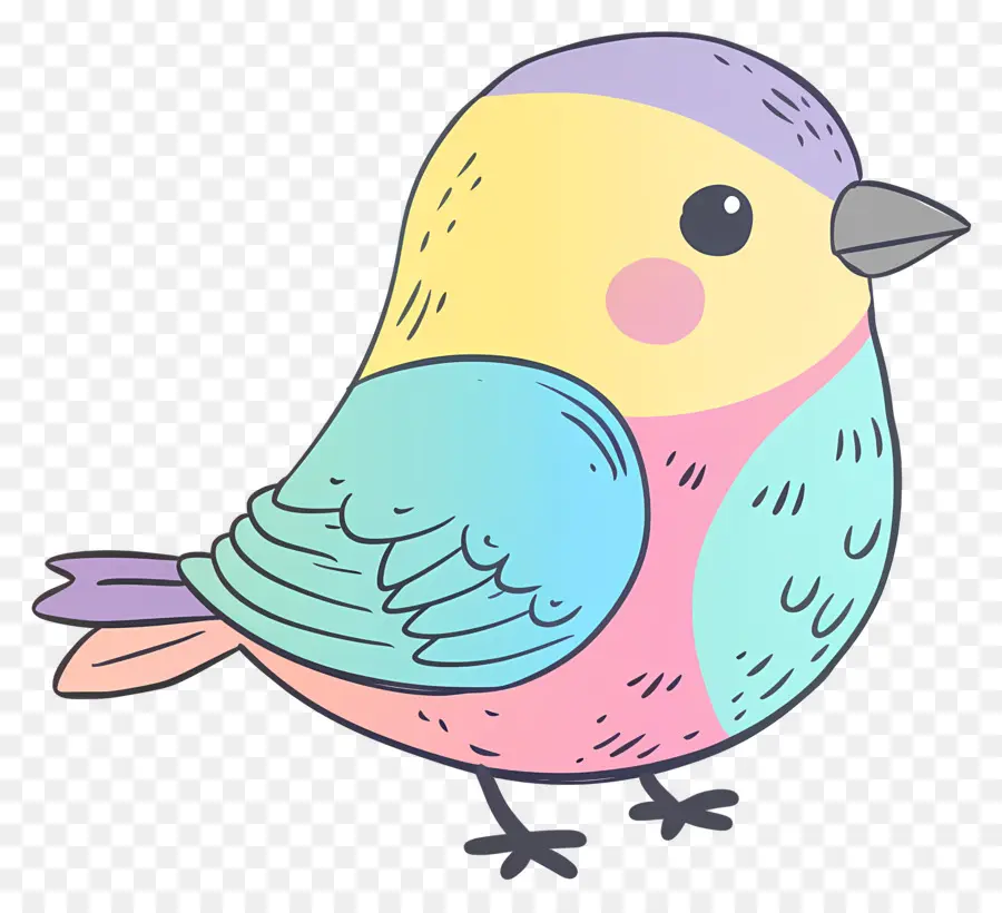 Pájaro，Pájaro De Colores PNG