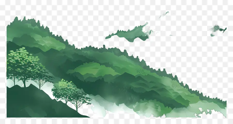 Fondo De Montañas Verdes，Bosque PNG