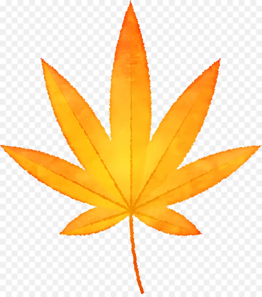 Hoja De Otoño，Marihuana PNG