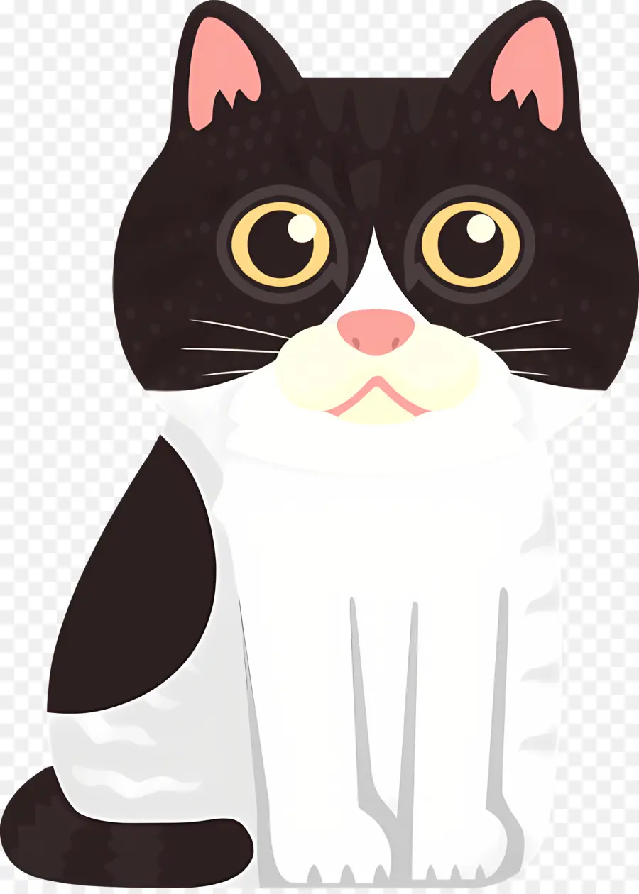 Gato De Dibujos Animados，Gato PNG