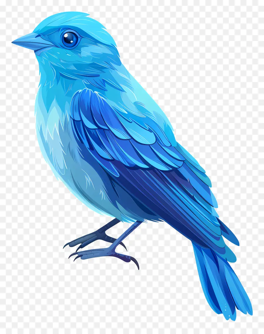 Aves，El Pájaro Azul PNG