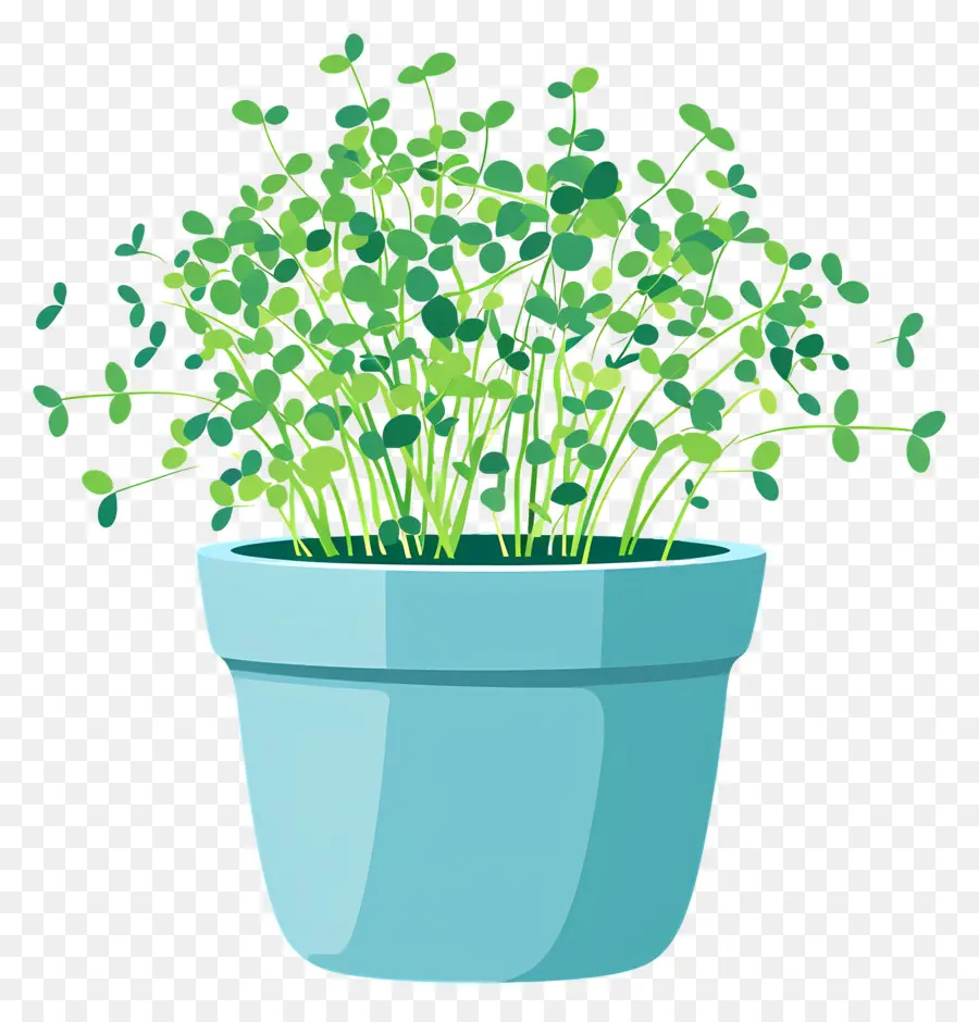 Bote De Microgreens，Pequeña Planta En Maceta PNG