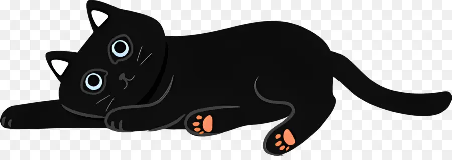 Gato De Dibujos Animados，Gato Negro PNG