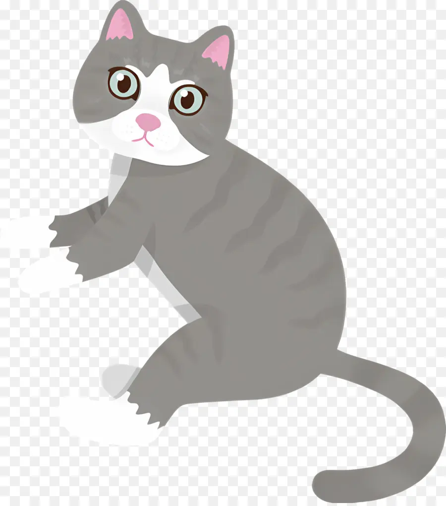 Gato De Dibujos Animados，Gato PNG