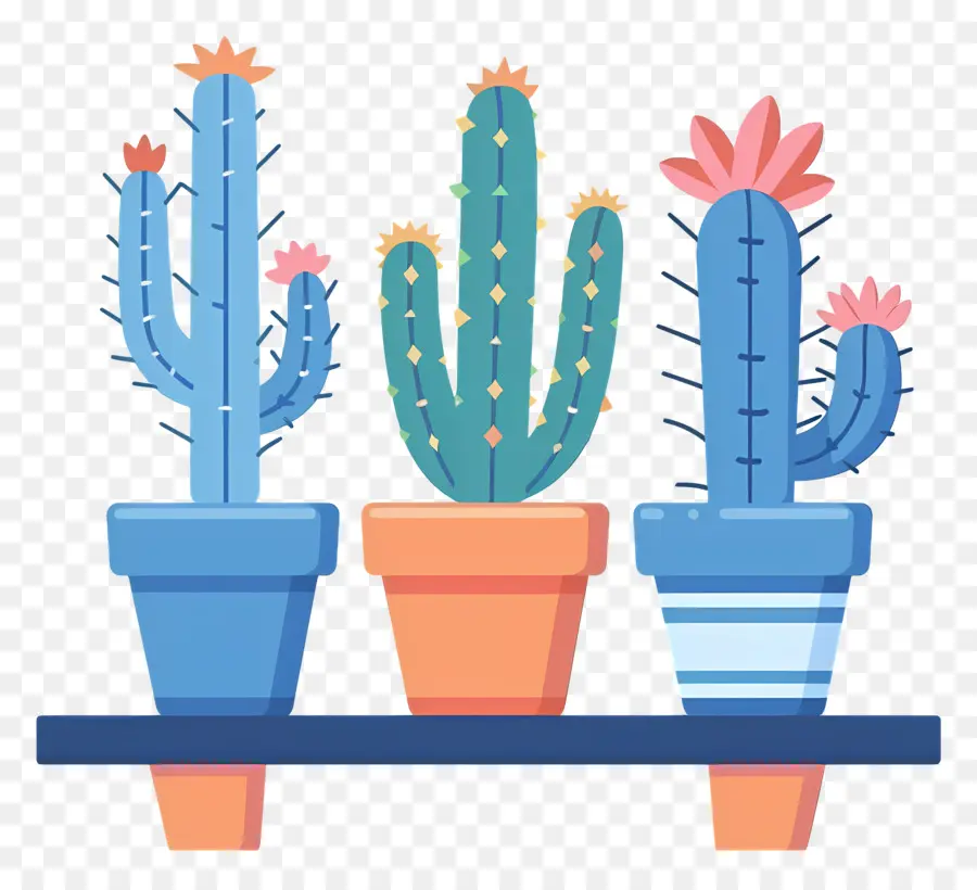 Cactus En Maceta，Cacti PNG