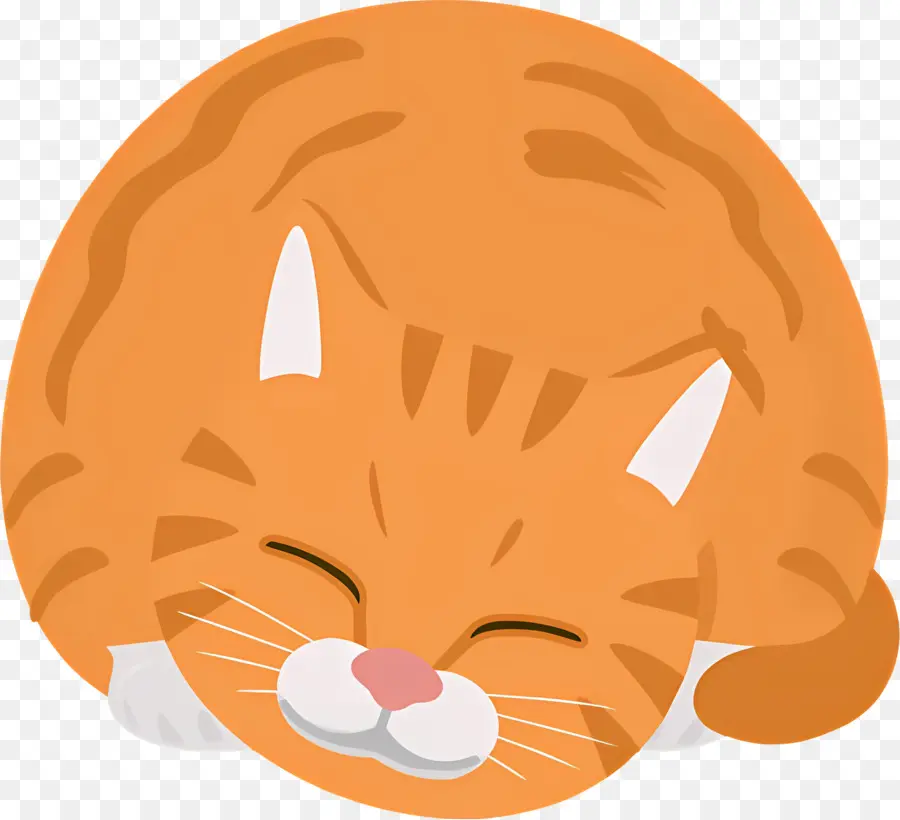 Gato De Dibujos Animados，Gato De Color Naranja PNG