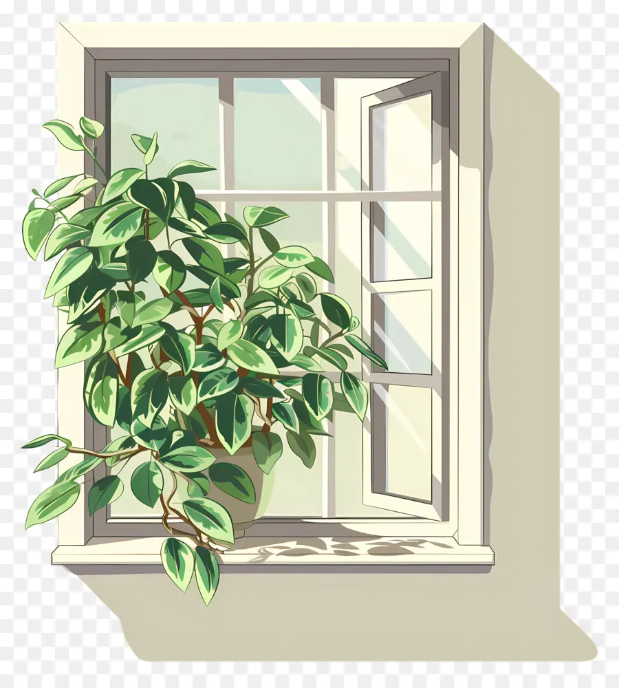 Ventana，Las Plantas De Interior PNG