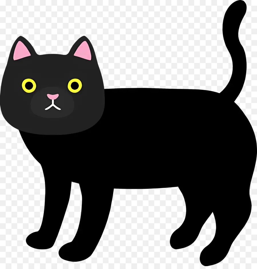 Gato De Dibujos Animados，Gato Negro PNG