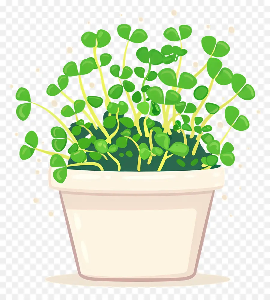 Bote De Microgreens，Los Helechos PNG