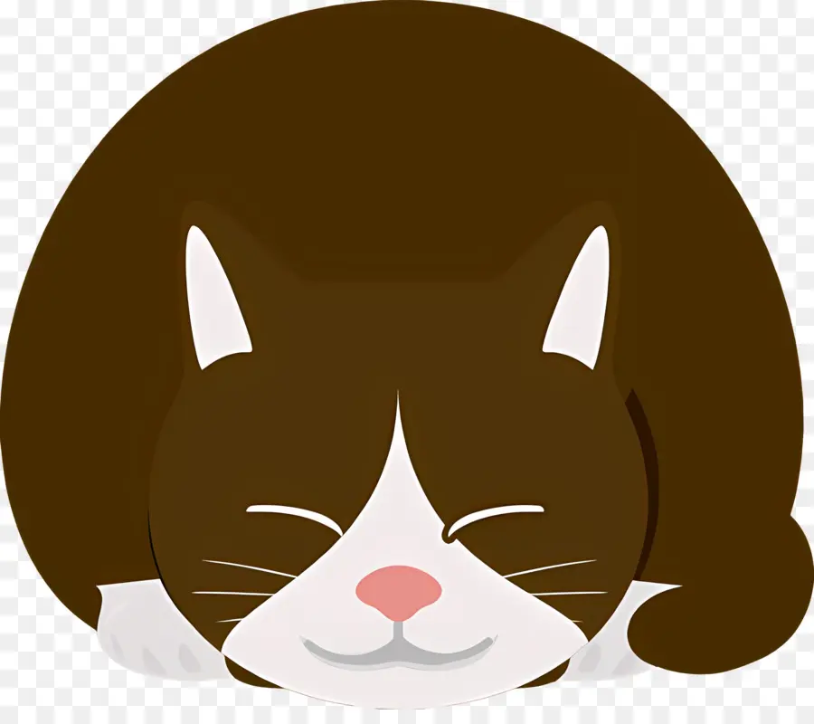 Gato De Dibujos Animados，Gato PNG