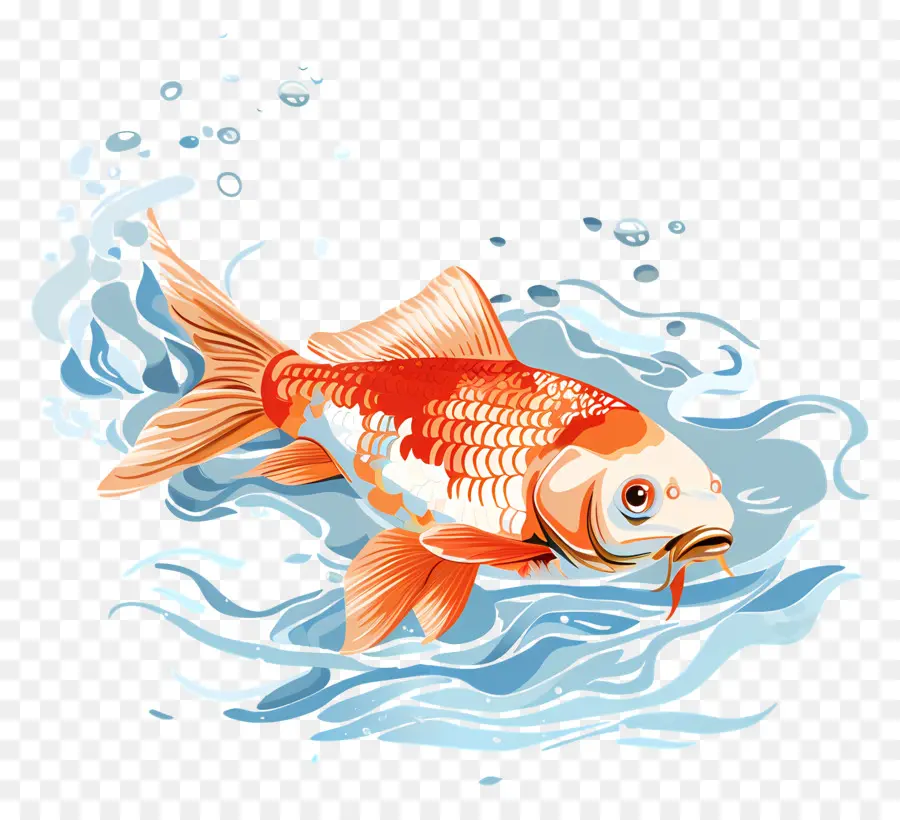 Los Peces，Naranja De Pescado PNG