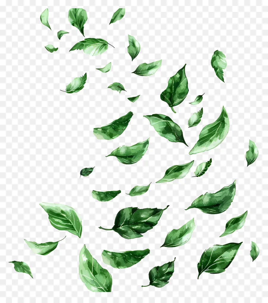 Hojas Verdes，Vuelan Las Hojas PNG