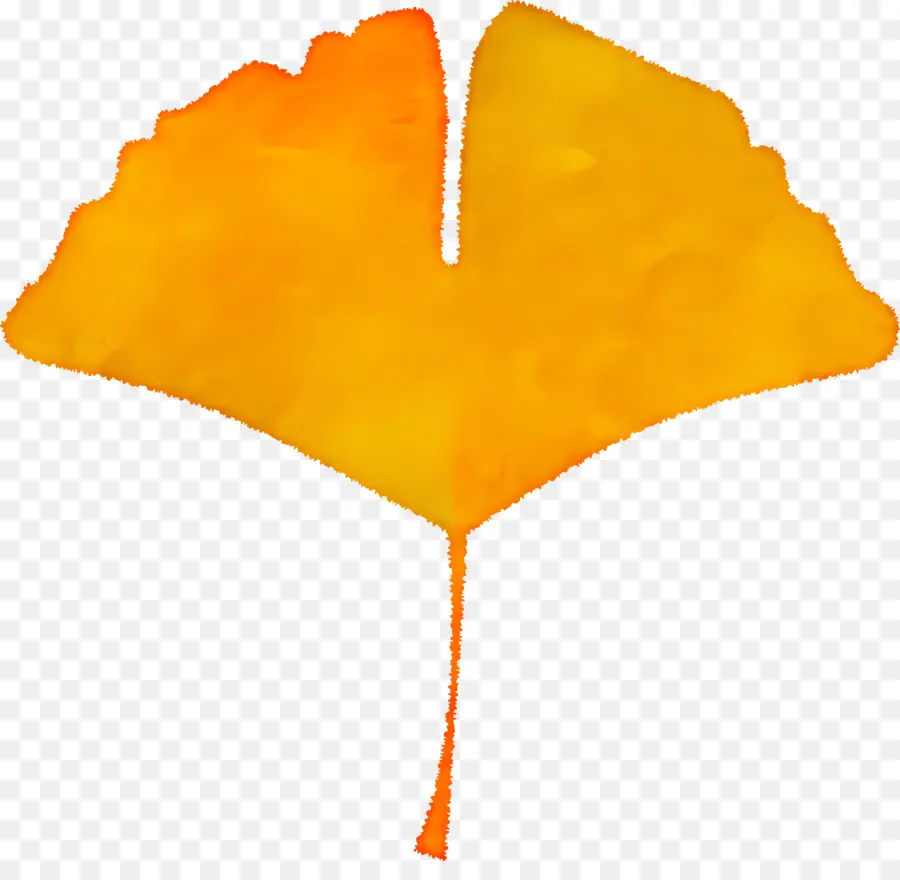 Hoja De Otoño，ósea PNG