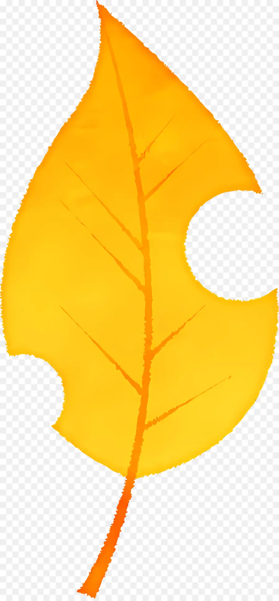 Hoja De Otoño，Golden Leaf PNG