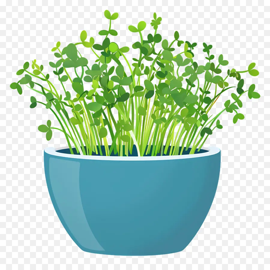 Bote De Microgreens，Azul Bote PNG