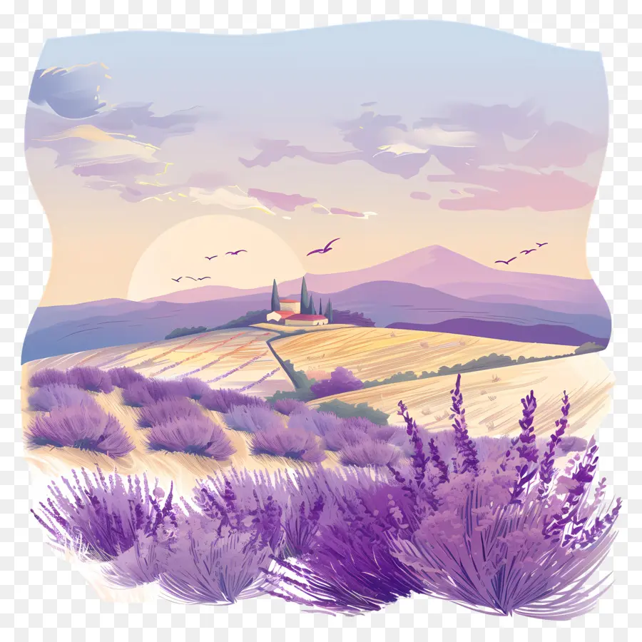 Lavanda Del Campo，La Pintura De Paisaje PNG