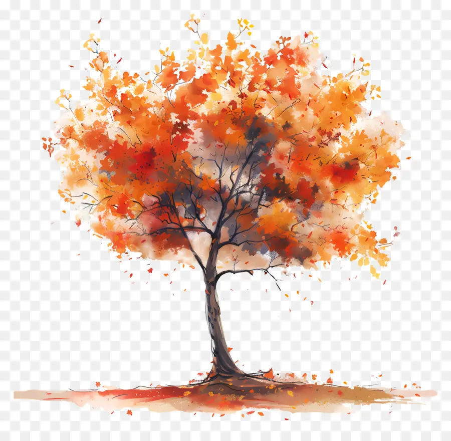 árbol De Otoño，Árbol PNG