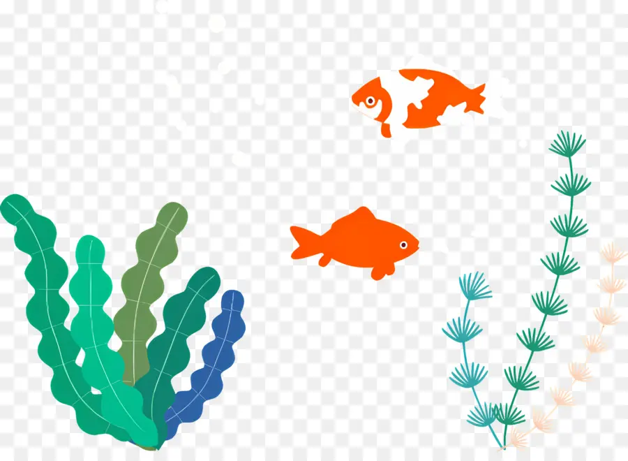 Pez，Los Peces PNG