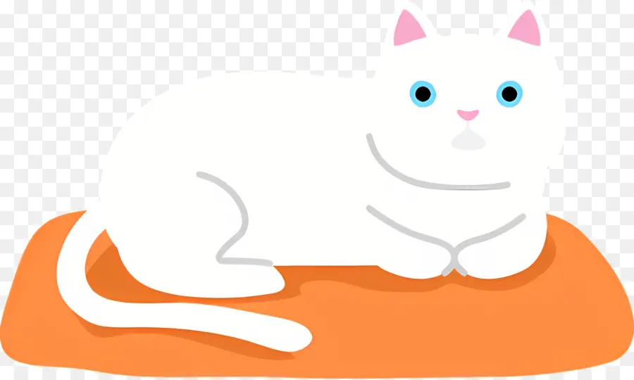 Gato De Dibujos Animados，Gato Blanco PNG