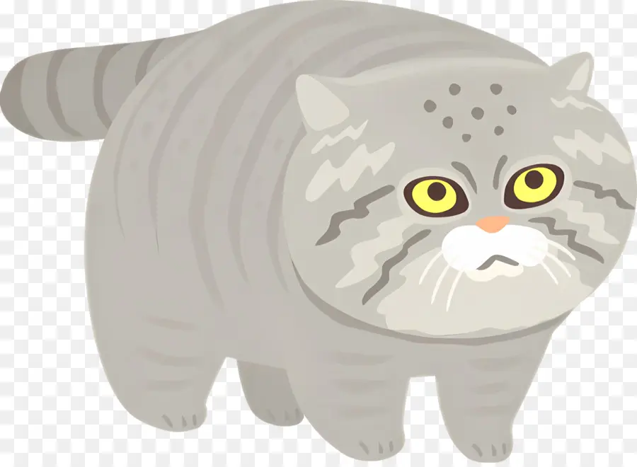 Gato De Dibujos Animados，Gato Gris PNG