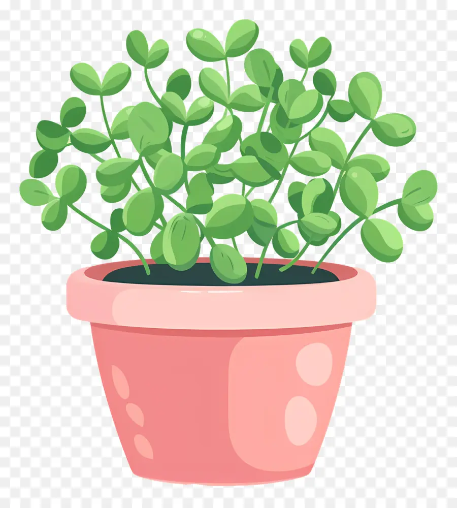 Bote De Microgreens，Planta En Maceta PNG