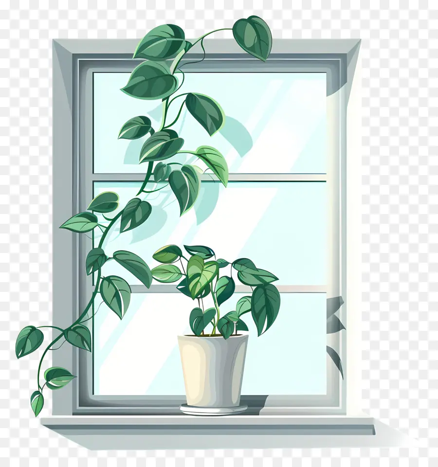 Ventana，Planta PNG