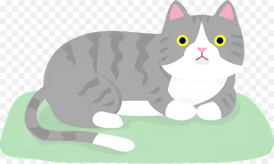 Gato De Dibujos Animados，Gato Gris Y Blanco PNG