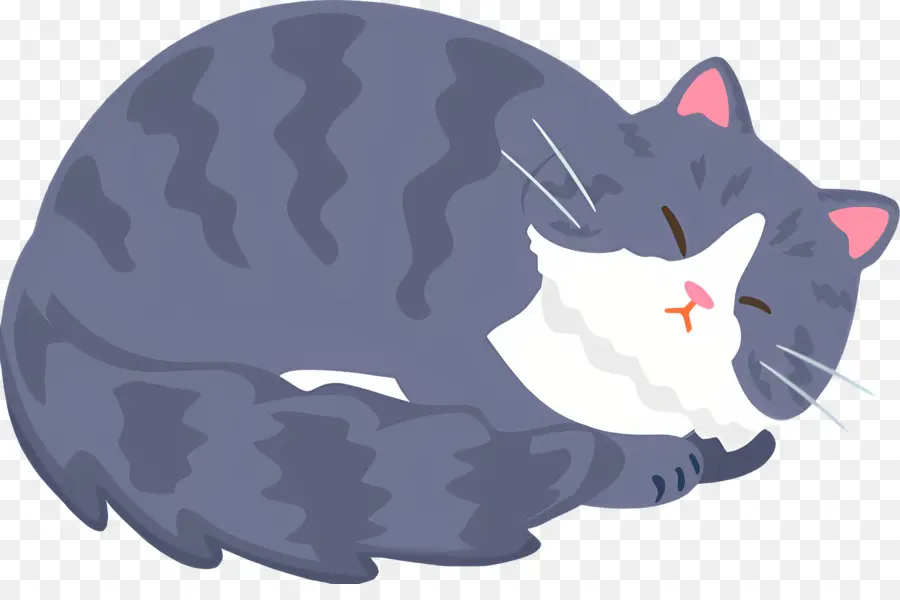 Gato De Dibujos Animados，Dormir Gato PNG