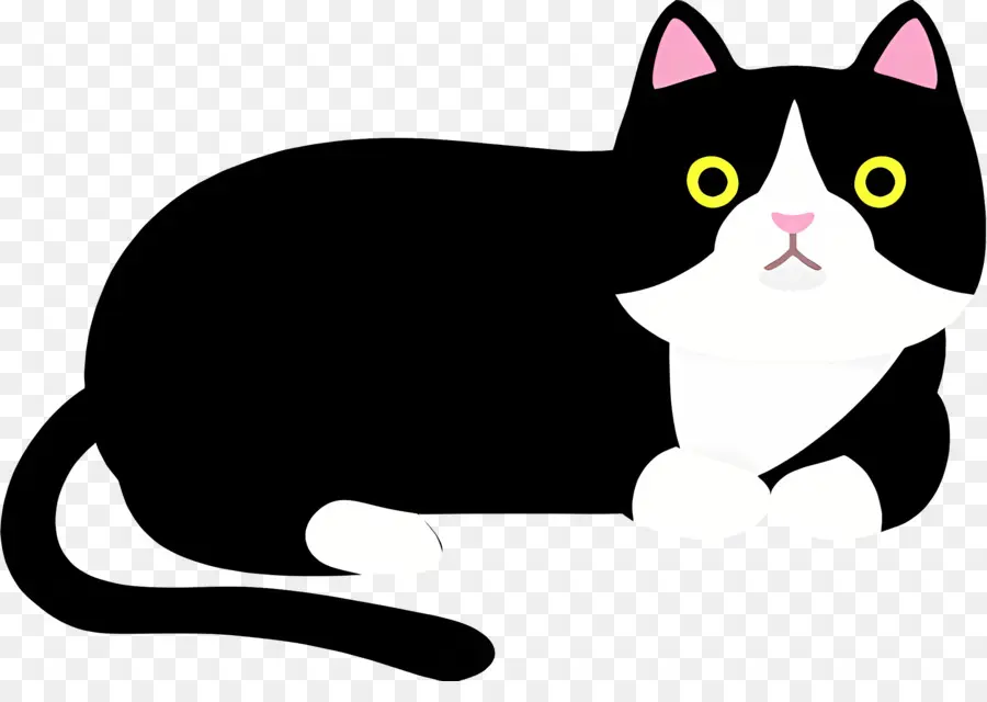 Gato De Dibujos Animados，Gato PNG