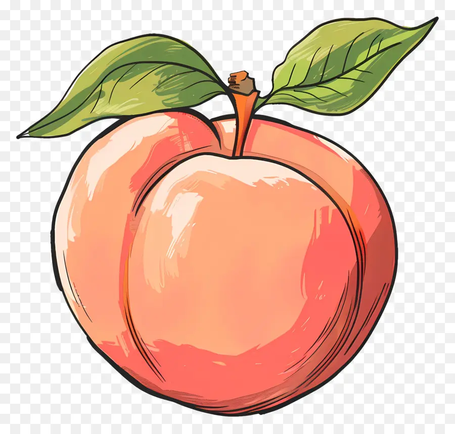 Nectarina，Apple Dibujo PNG