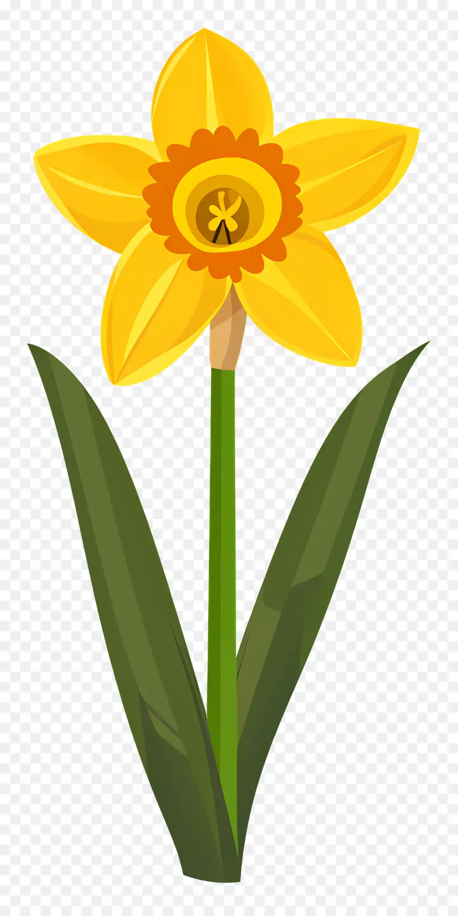 Narciso Flor，Narciso PNG