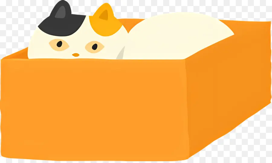 Gato De Dibujos Animados，Gato PNG