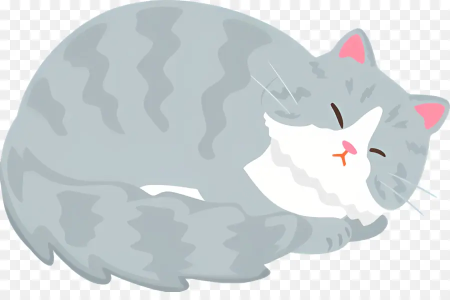 Gato De Dibujos Animados，Gato PNG