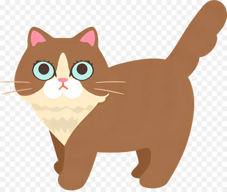 Gato De Dibujos Animados，Ojos Grandes PNG